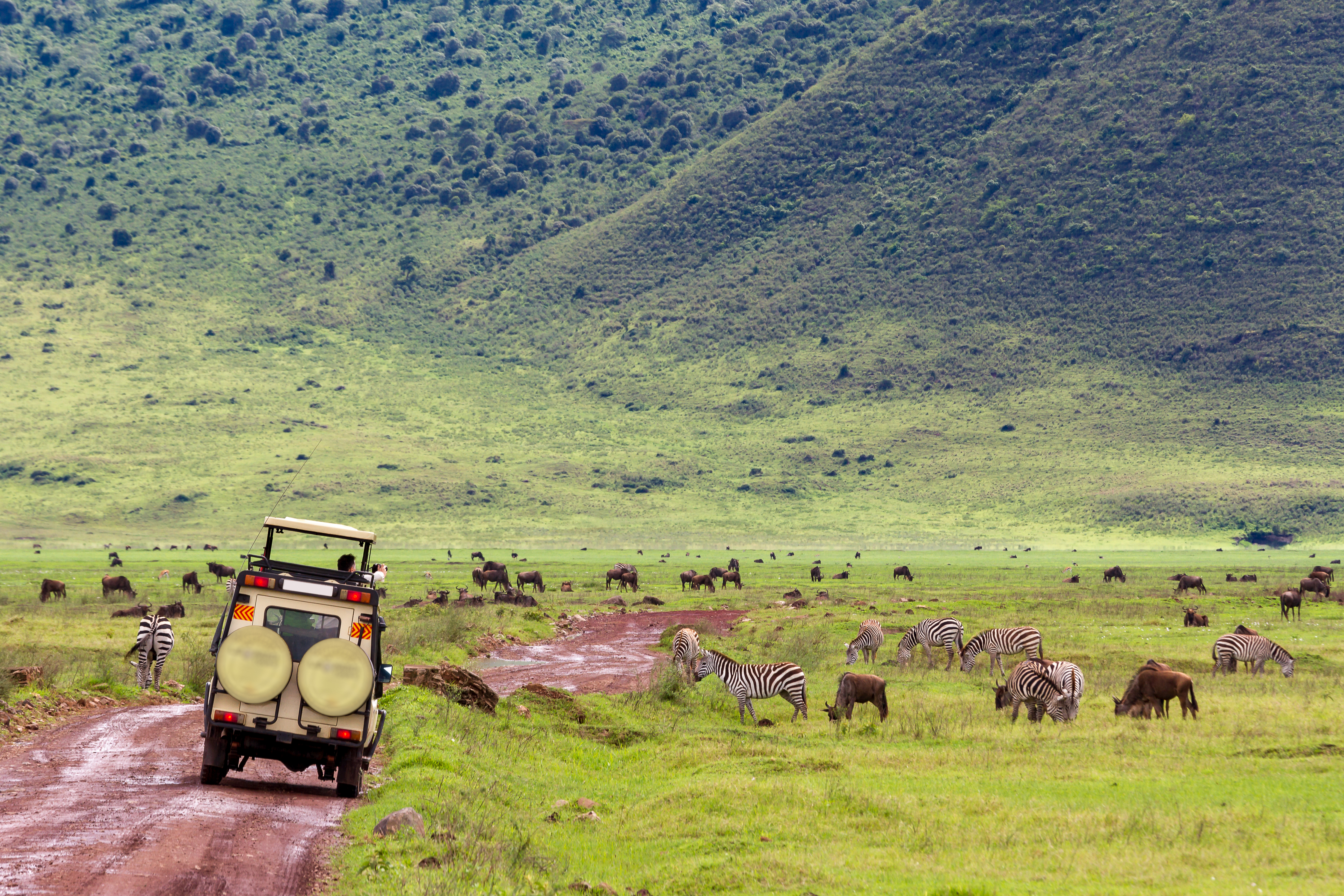 Split view of Tanzania's Serengeti vast plains and Ngorongoro Crater floor — the two greatest safari destinations for the best safari in Tanzania