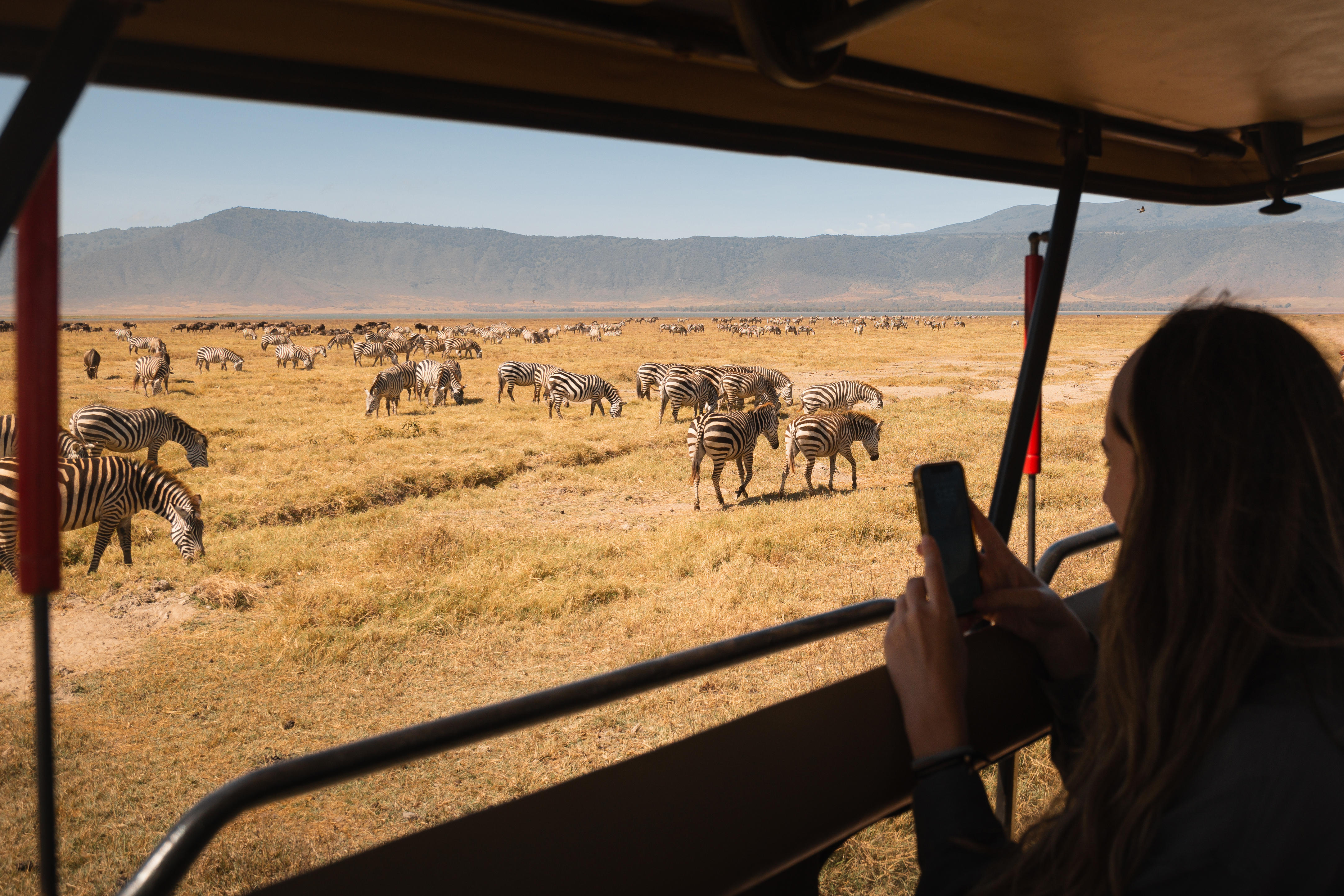 Kenya and Tanzania Safaris — Full Planning Guide | Sokwe Africa Safari