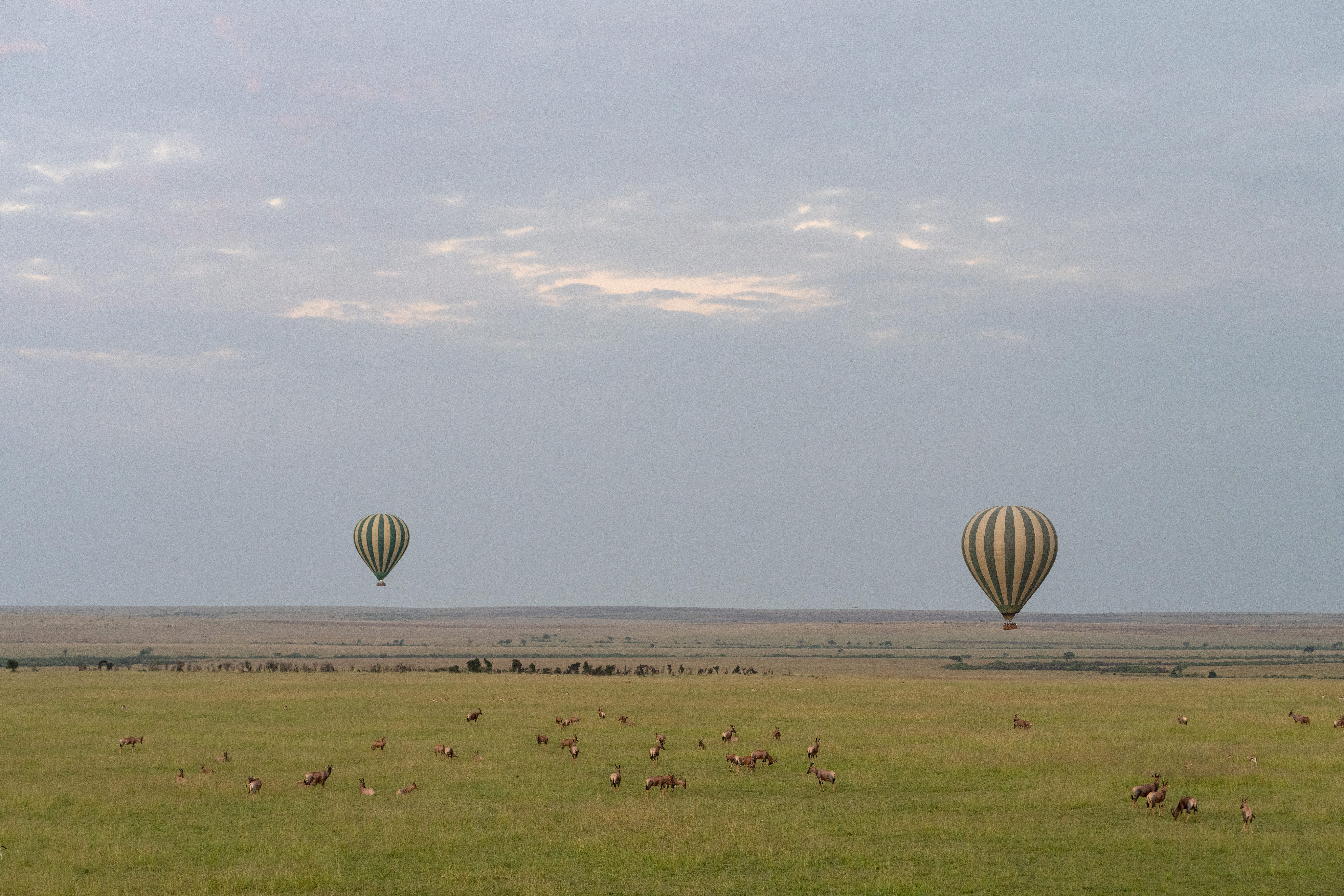 Aerial view of the Masai Mara ecosystem connecting seamlessly with Tanzania's Serengeti on a combined Kenya Tanzania luxury safari