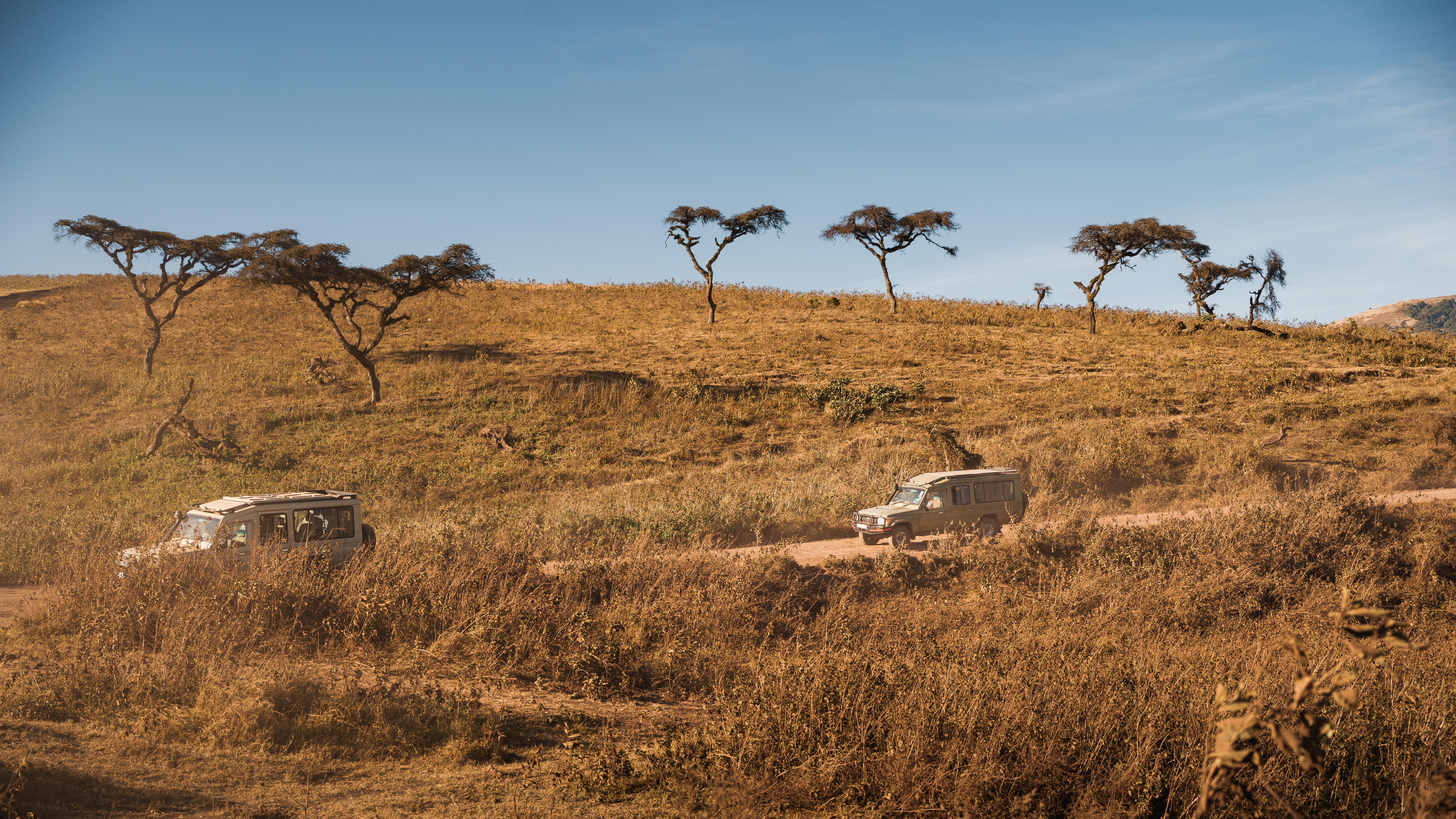 Shared safari vehicle with guests from the same lodge on a Tanzania game drive — the mid-range tier of the best safaris in Tanzania market