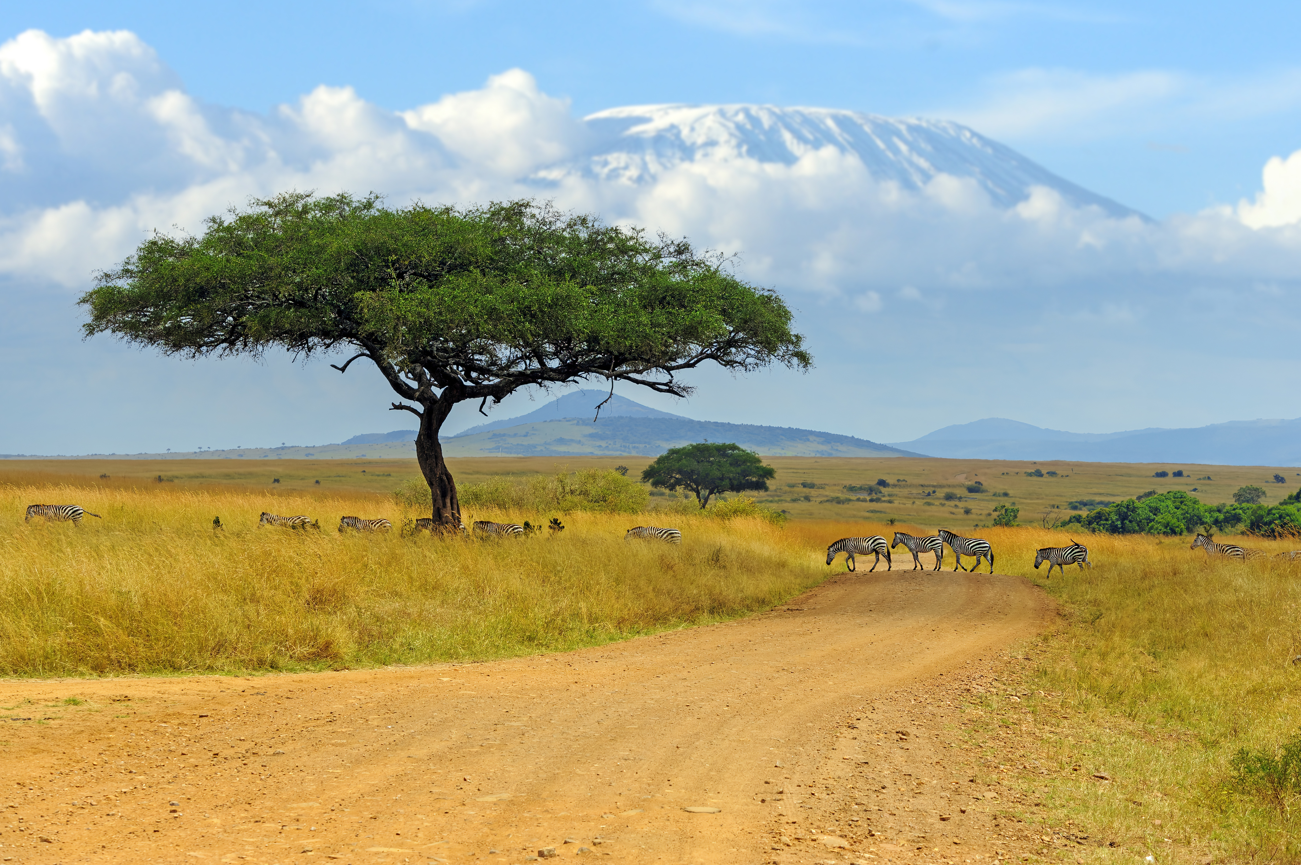 Safari vehicle on a Serengeti road with Mount Kilimanjaro visible in the distance