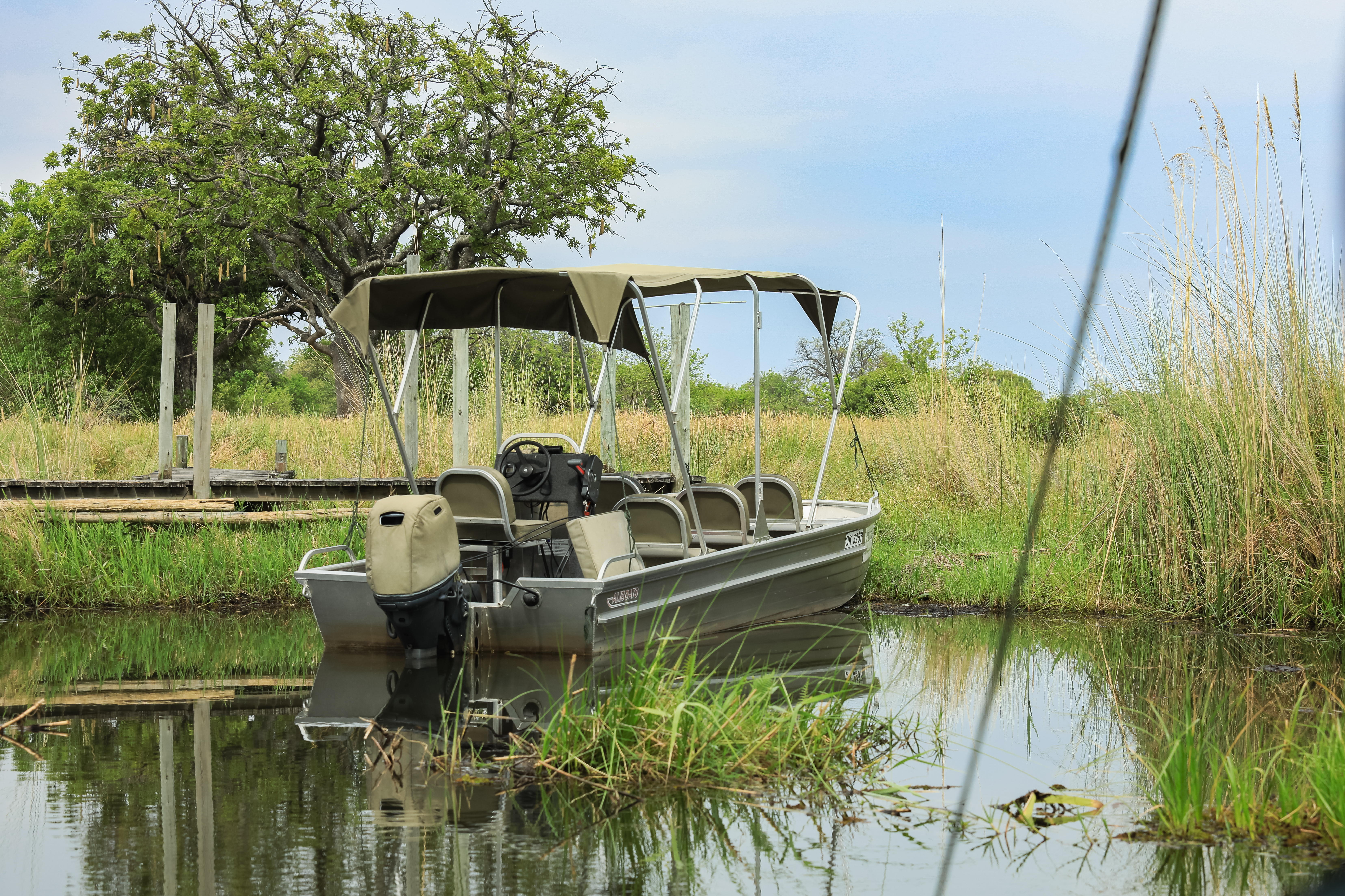 Boat safari on the Rufiji River in Nyerere National Park with hippos in the foreground