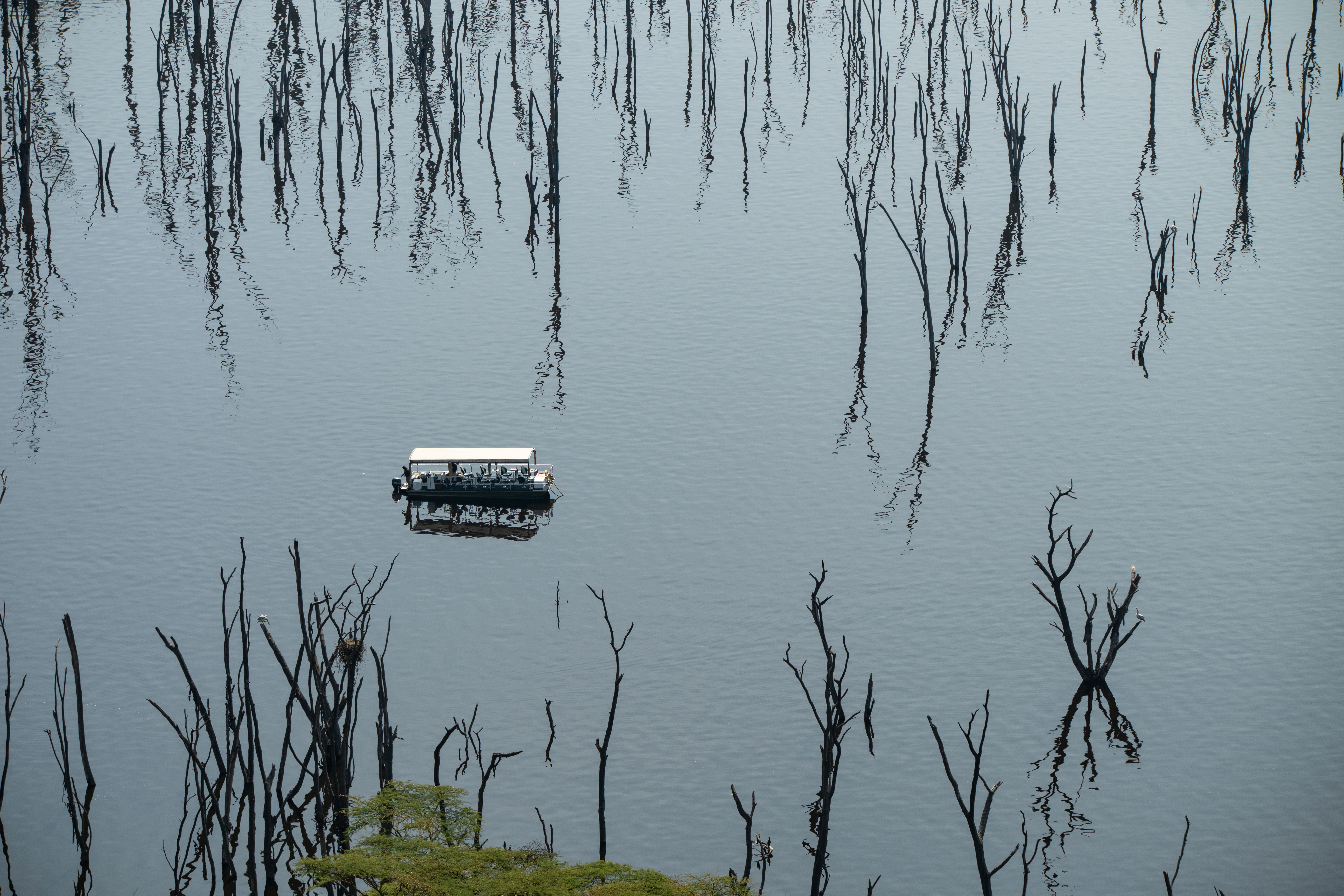 Boat safari on the Rufiji River in Tanzania's Nyerere National Park with hippos and elephants on the bank