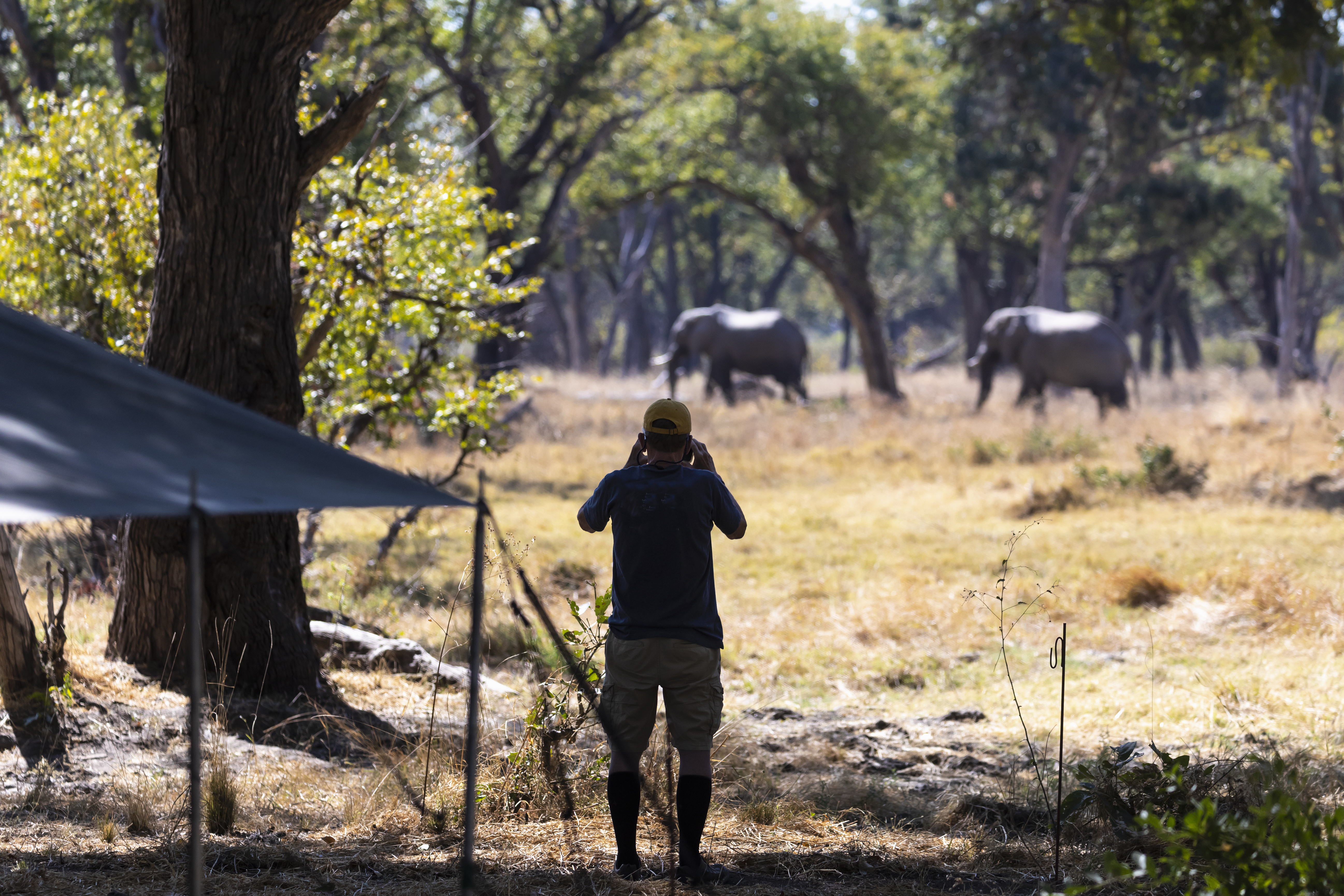 Luxury camp on the banks of the Great Ruaha River at dusk on a 12-day Tanzania safari itinerary with elephants crossing in the background
