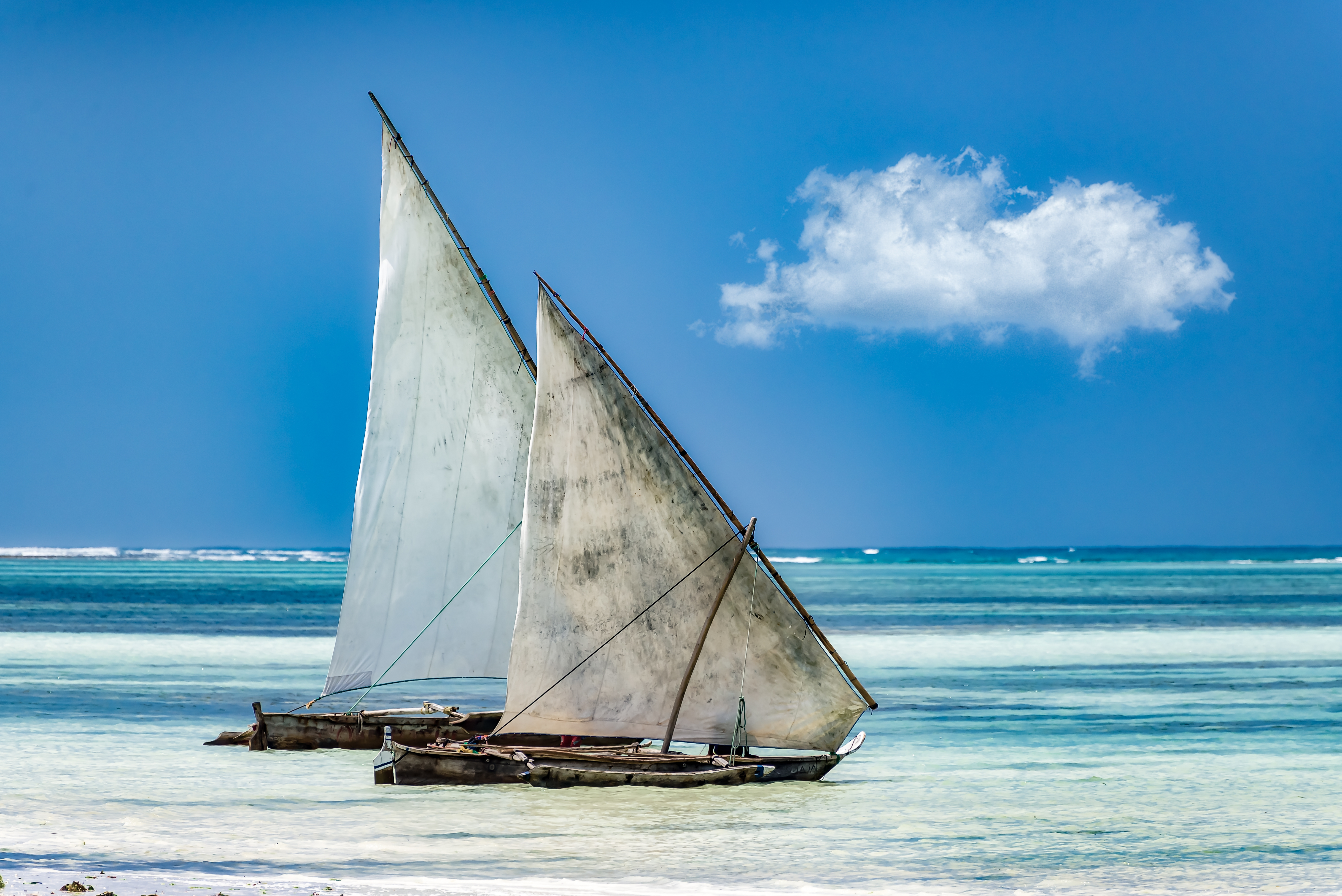The classic pairing — a Serengeti game drive followed by a Zanzibar beach, bush and coast in one trip