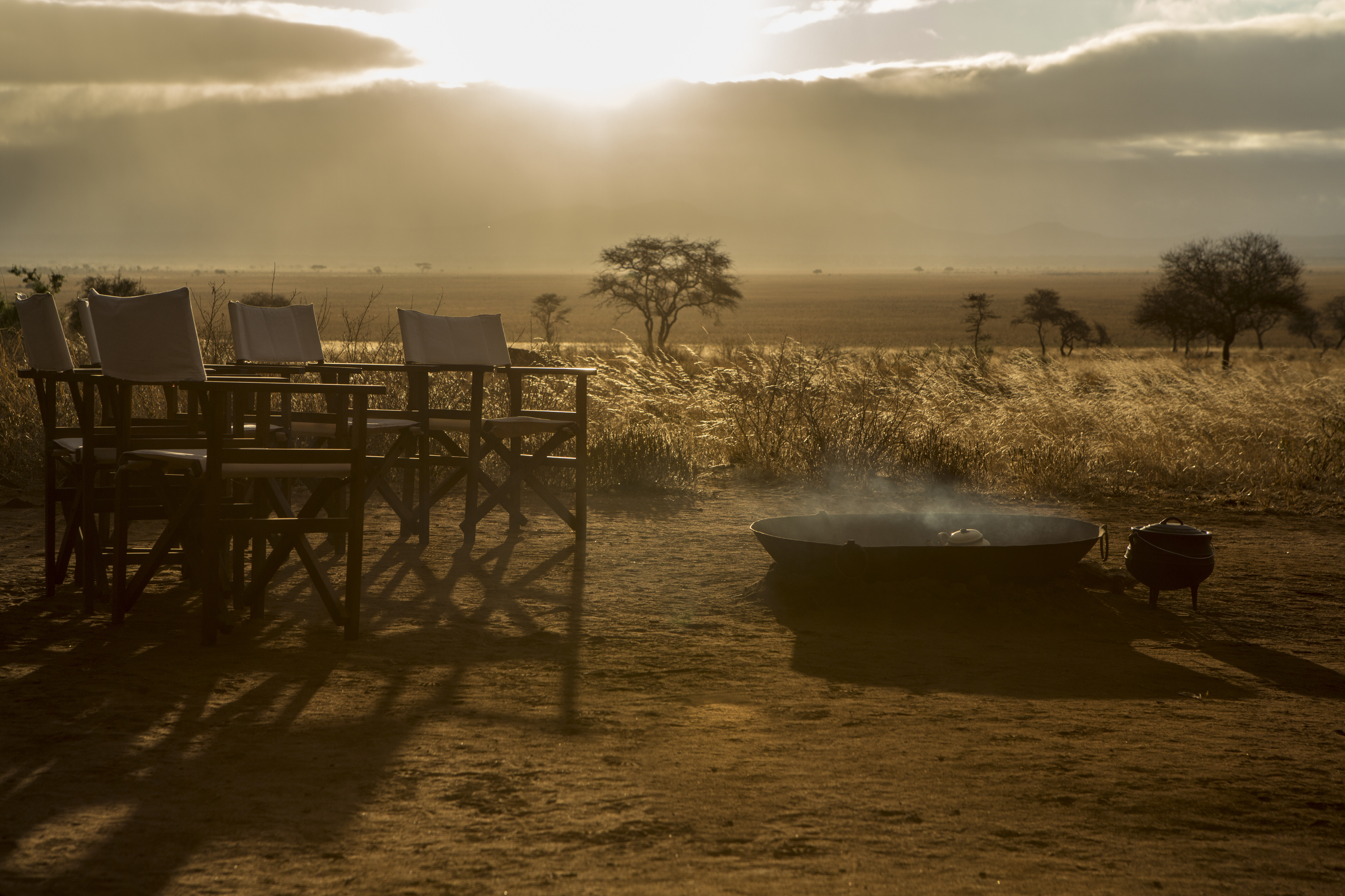 Luxury open-sided safari vehicle at first light in Tanzania's Serengeti on day one of a 12-day Tanzania safari itinerary with lion tracks visible on the track