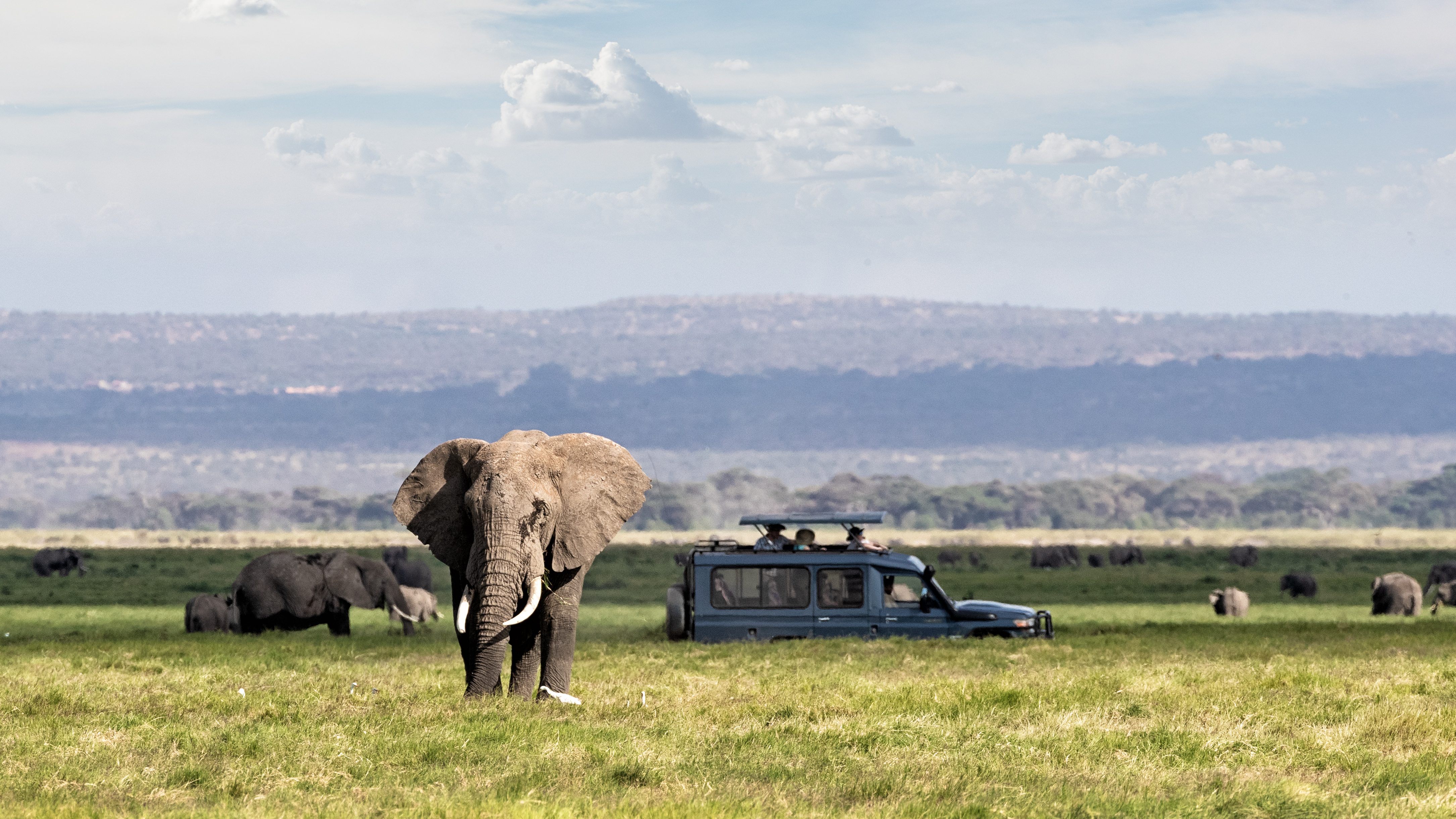 Sokwe Africa Safaris team and guide with guests at a Tanzania bush camp