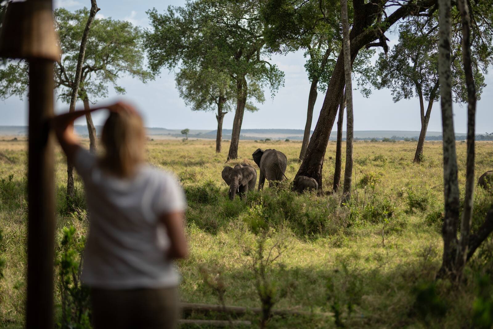 A safari camp where guests are escorted after dark and staff follow clear safety routines
