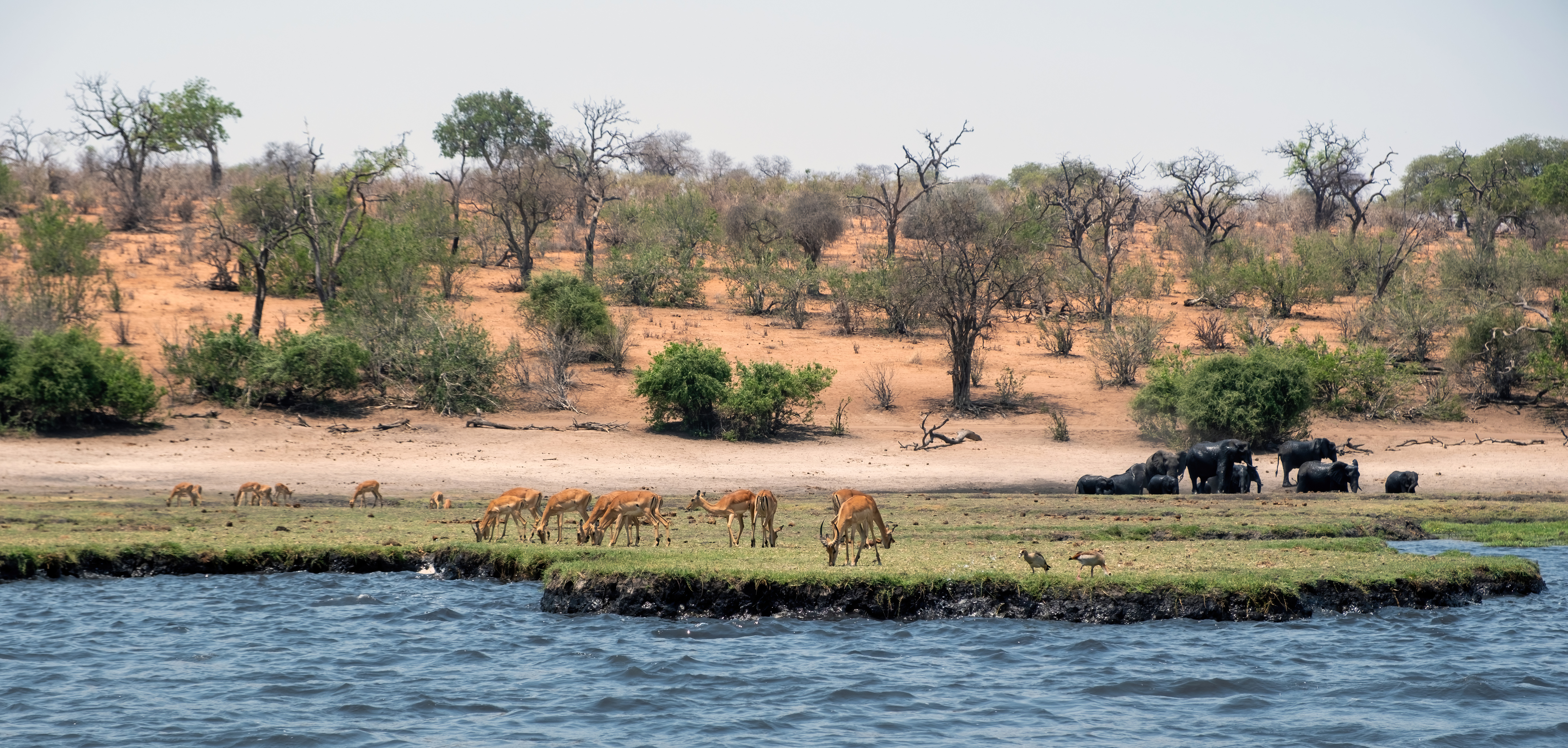 Entry gate to the Serengeti National Park in Tanzania where conservation fees apply to all safari visitors regardless of accommodation tier