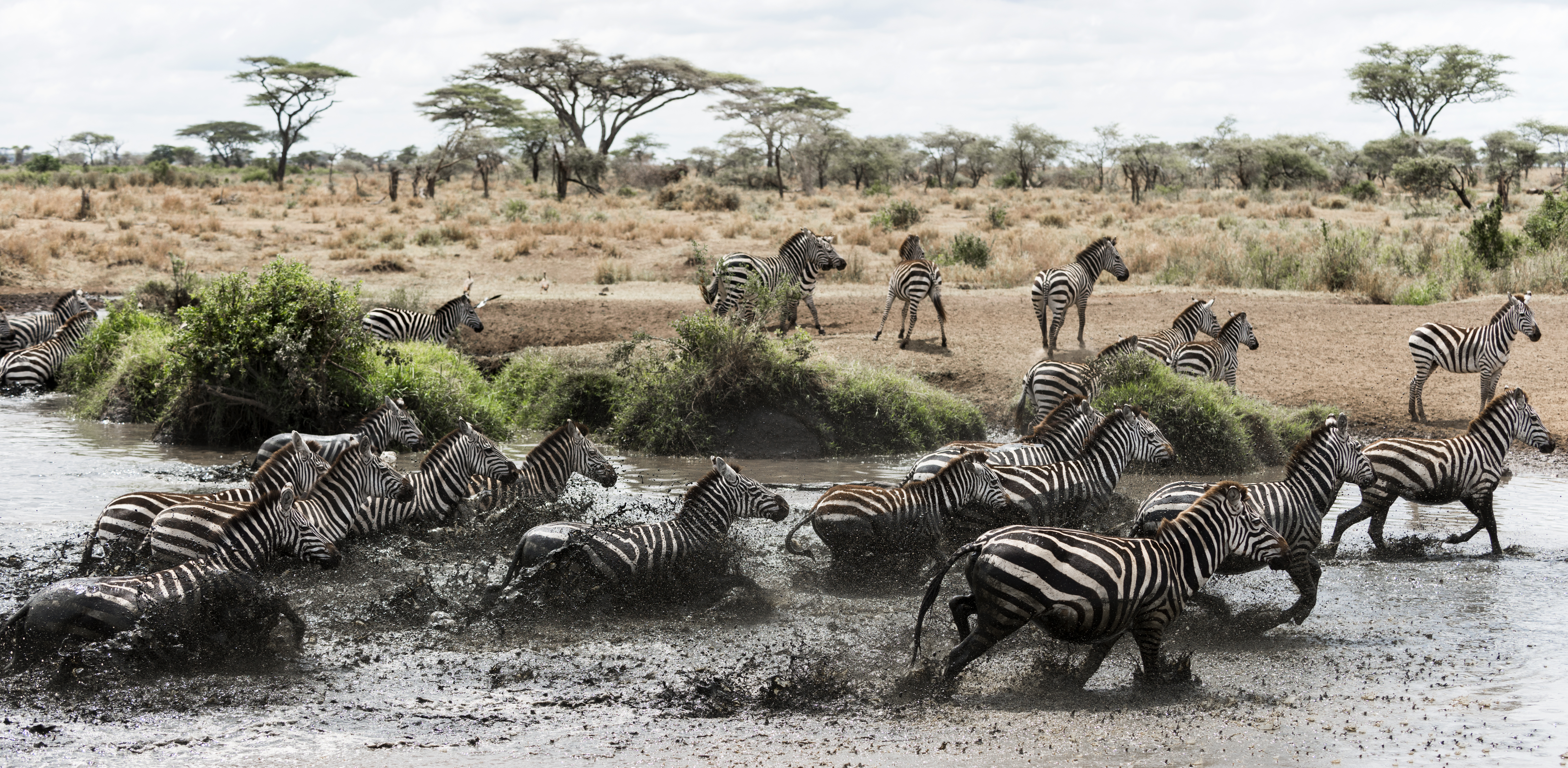 Luxury open-sided safari vehicle on the Serengeti plains, representing the premium tier of Tanzania safari cost per person in 2026