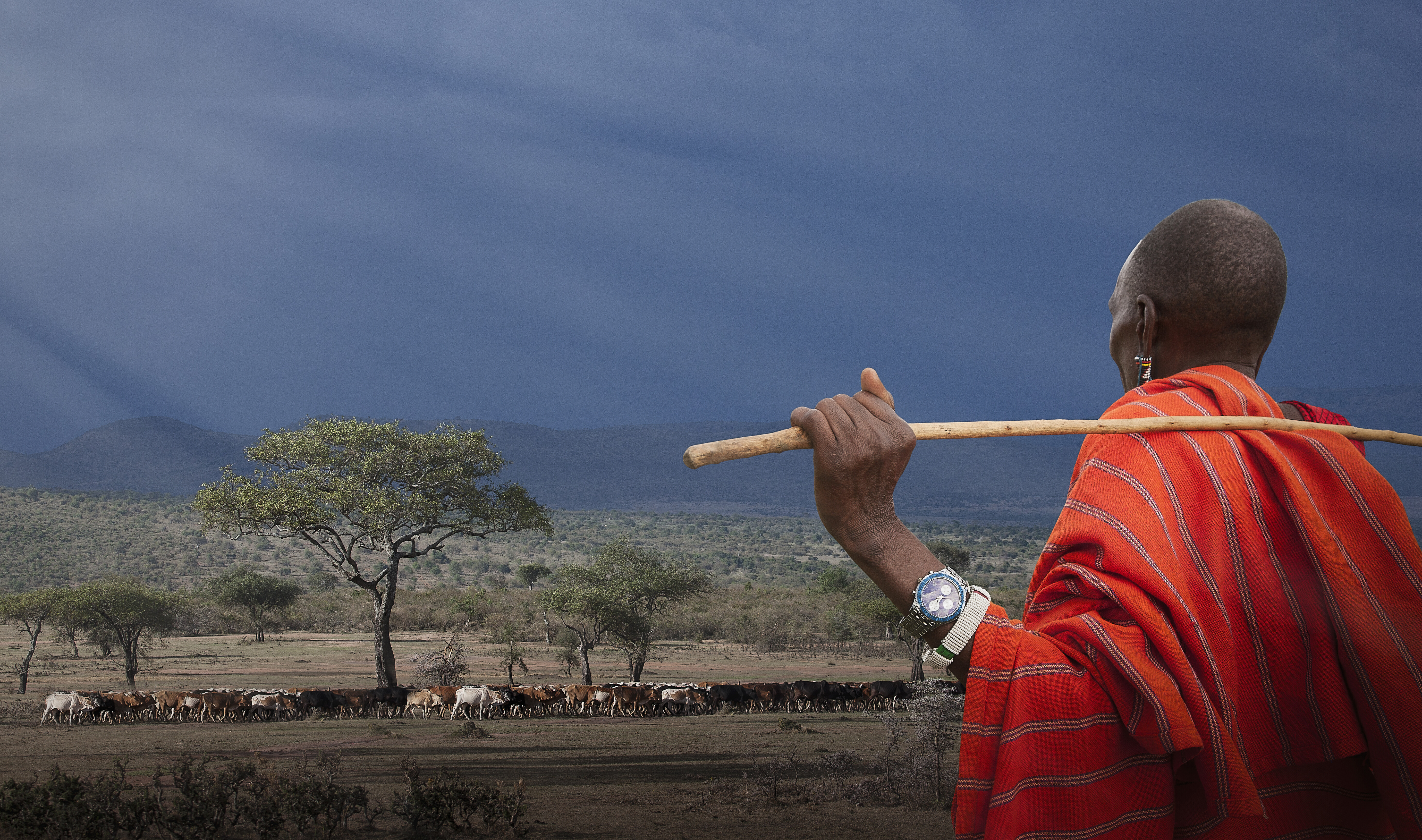 An armed ranger leading walkers through the bush — every Meru climb is escorted by a TANAPA ranger exactly like this