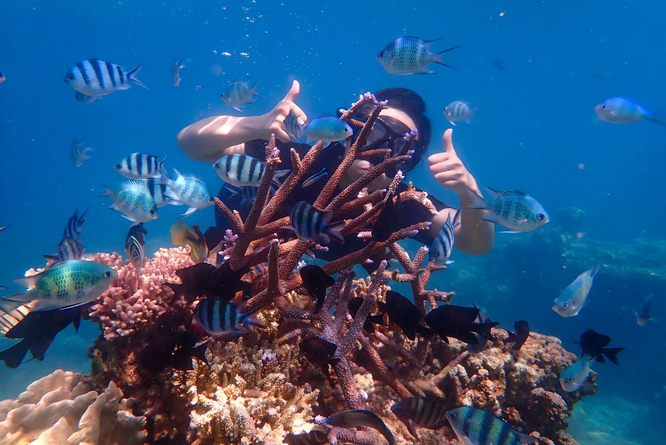 Snorkelling above a pristine coral reef in the turquoise waters off Zanzibar