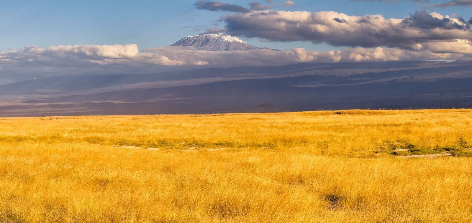 Kibo seen from the dry northern plains, Rongai Route approach