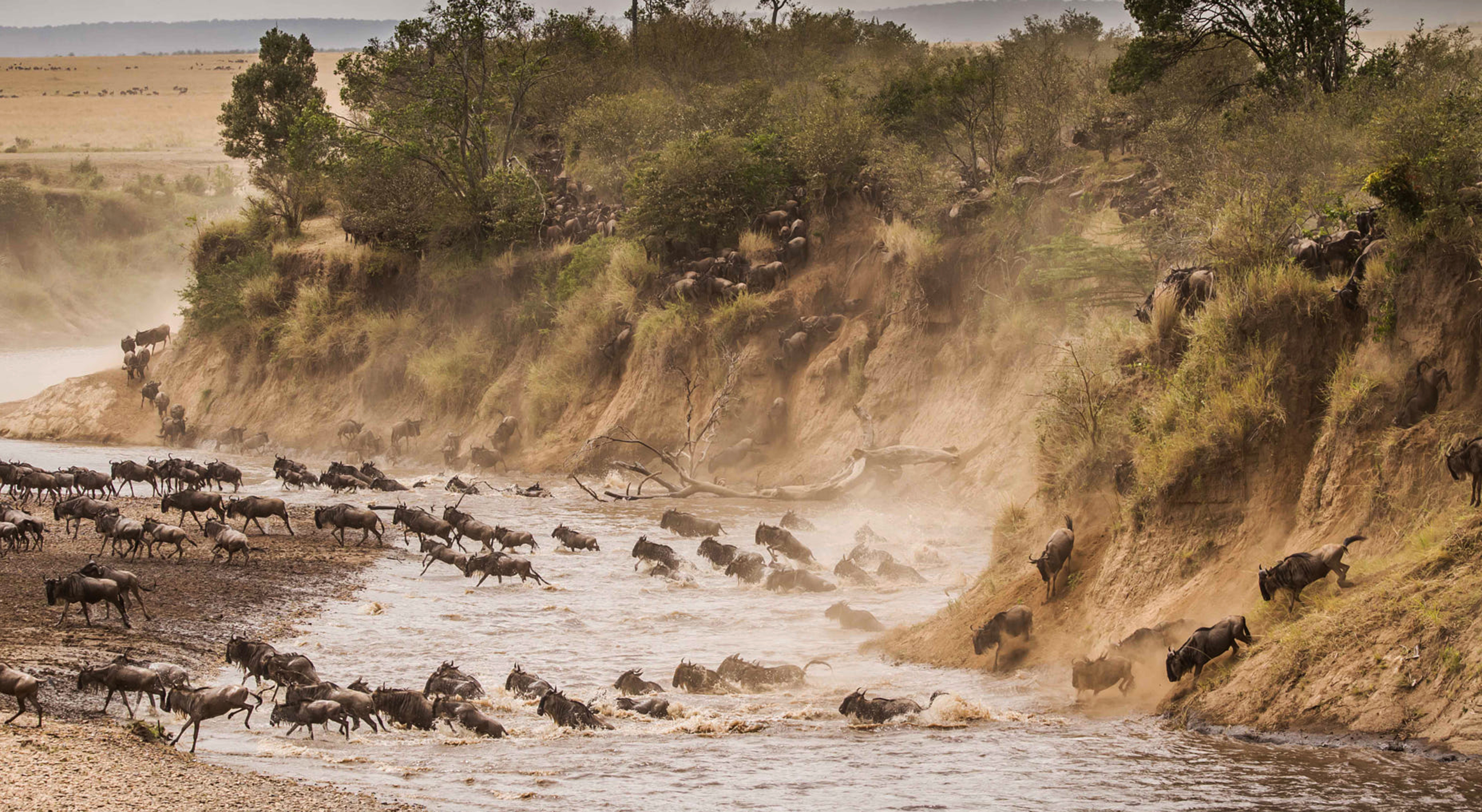 North Serengeti Mara River