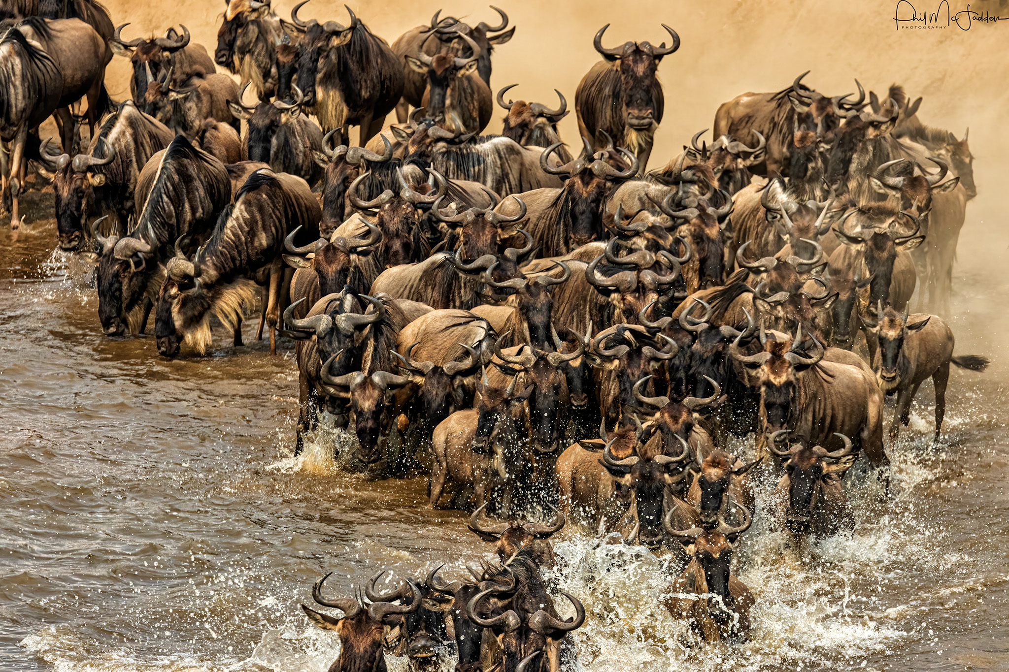 Serengeti National Park Safari